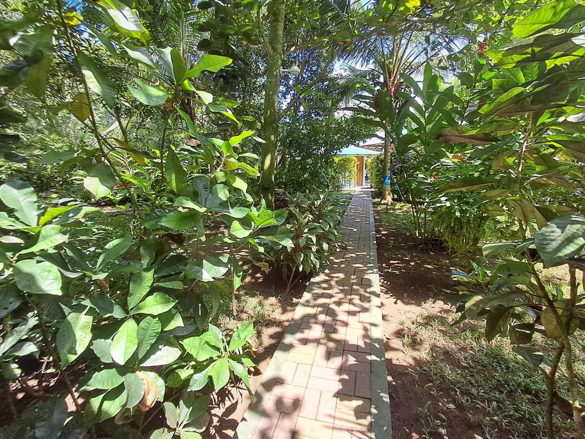 Вілла New Caribe Point Кахуіта Екстер'єр фото